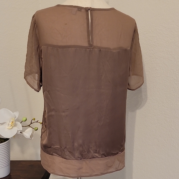 DR2 Brown Short Sleeve Blouse with Elegant Sheer Neckline - Picture 3 of 3